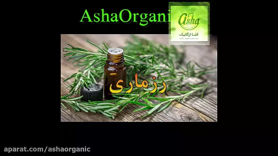 خواص بی‌نظیر گیاه رزماری؛ معجزه‌ای برای سلامتی و زیبایی