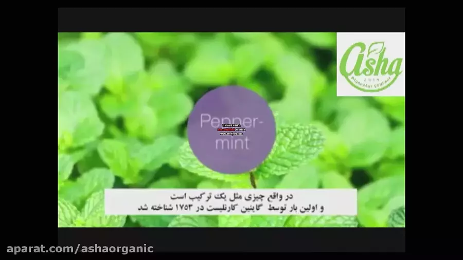 خواص عصاره نعناع فلفلی؛ ضد التهاب، هاضم و آرام‌بخش طبیعی