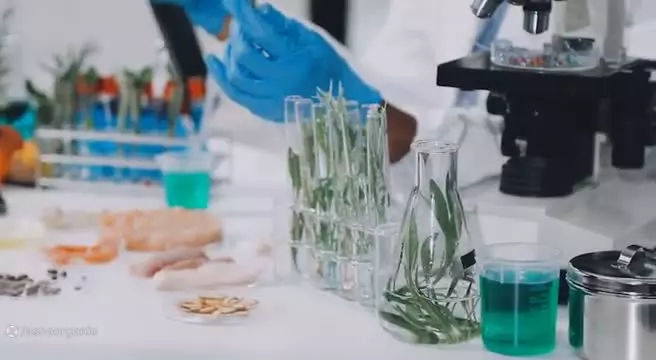 آشاارگانیک | مرجع تخصصی عصاره های پودری و مایع ،اسانس های طبیعی و سنتزی