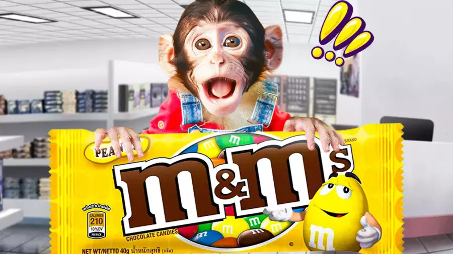 کارتون میمون کوچولو بازیگوش | سرگرمی حیوانات و میمون و اسمارتیز