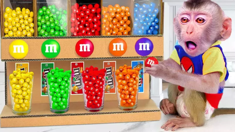 انیمیشن آموزشی میمون بازیگوش جدید | چالش آبنبات رنگی خنده دار