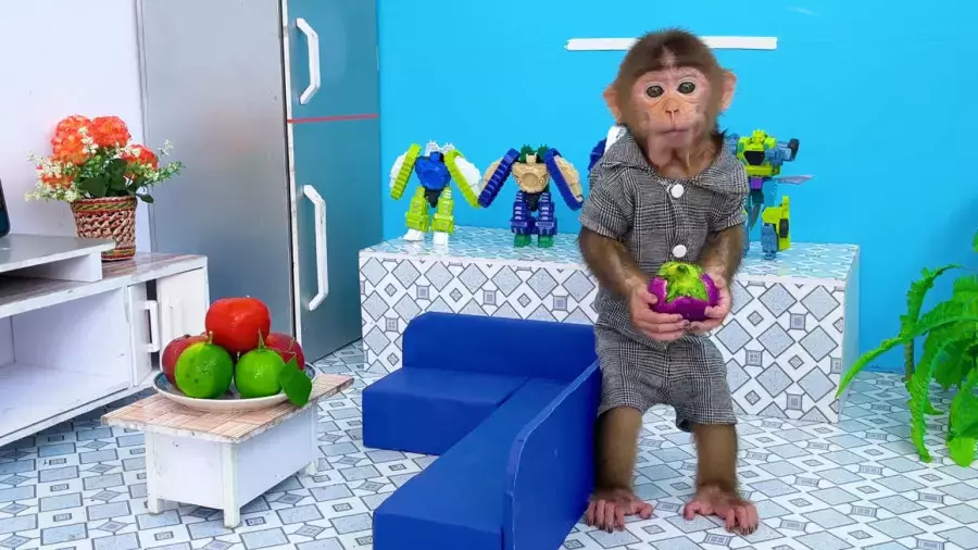 انیمیشن جدید میمون کوچولو | ماجراجویی‌های خنده‌دار و آموزنده