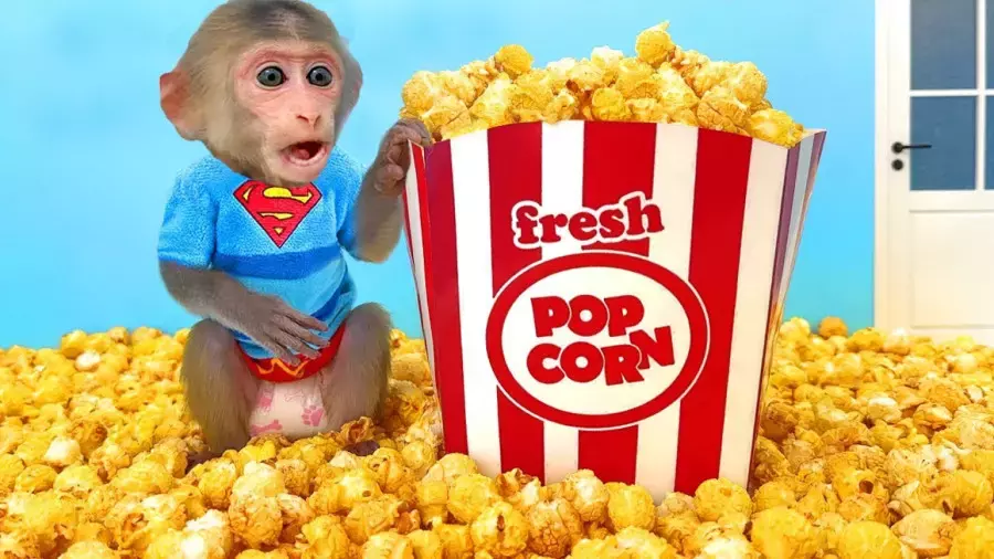 انیمیشن آموزشی میمون بازیگوش جدید | چالش پاپ کورن هیجان انگیز