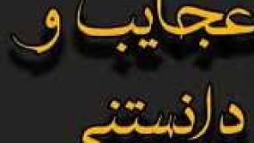 عجایب دنیا۶۵۵