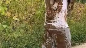 عجایب دنیا ۴۶۴