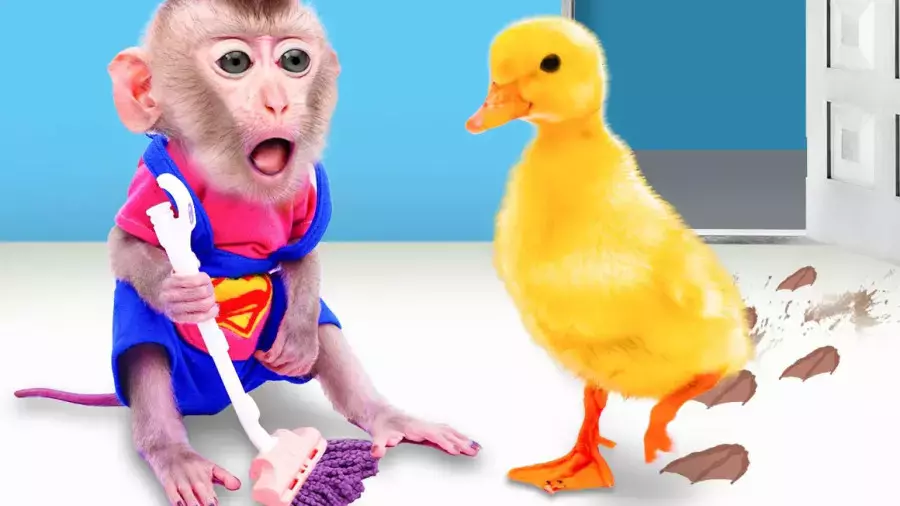 انیمیشن آموزشی میمون بازیگوش جدید | بچه میمون و جوجه اردک زیبا