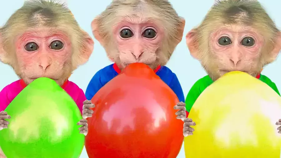 انیمیشن آموزشی میمون بازیگوش جدید | چالش بادکنک رنگی بچه میمون