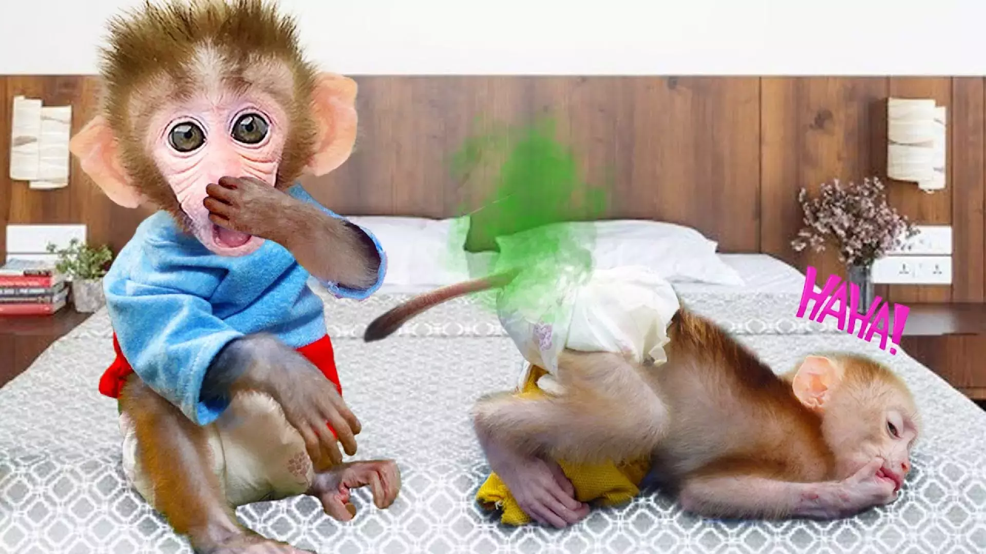 برنامه کودک آموزنده میمون بامزه | مناسب کودکان 3-8 سال