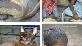 عجایب دنیا ۲۴۳۳