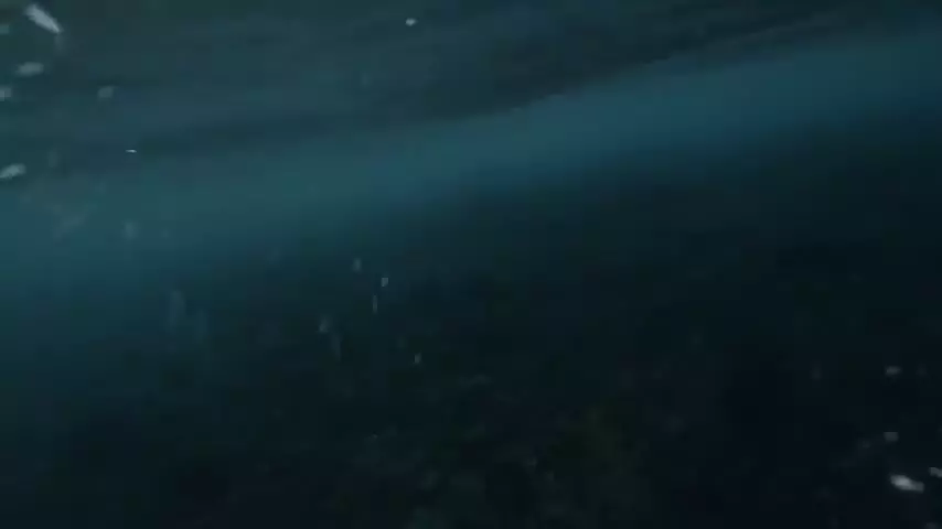 جریانات گلف استریم