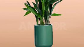 سفارش برگ عبایی