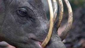 عجایب دنیا ۲۹۲۶