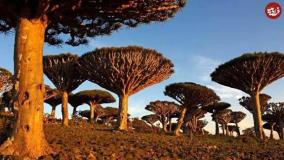 عجایب دنیا ۷۶۵