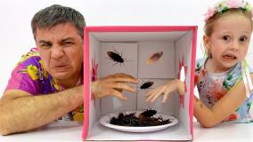 برنامه کودک دخترانه ناستیا، کارتون جدید، ناستیاشو، کودکانه پرطرفدار