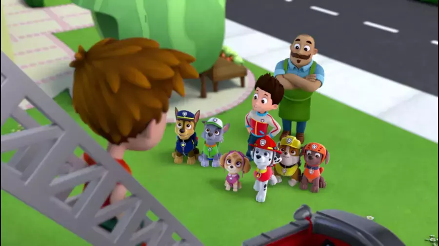 انیمیشن سگهای نگهبان جدید,کارتون دوبله فارسی,سگ های نگهبان