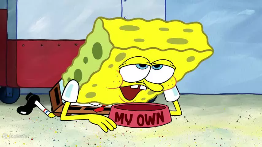 انیمیشن باب اسفنجی-باب اسفنجی جدید-کارتون باب اسفنجی-باب اسفنجی دوبله فارسی