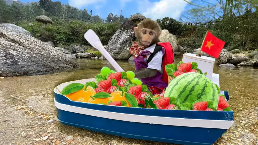 کارتون میمون : بچه میمون : میمون بازیگوش : میمون خنده دار : میمون بازیگوش