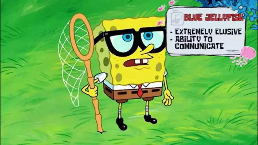 انیمیشن کودک باب اسفنجی - کارتون باب اسفنجی جدید - باب اسفنجی در حال ماهیگیری