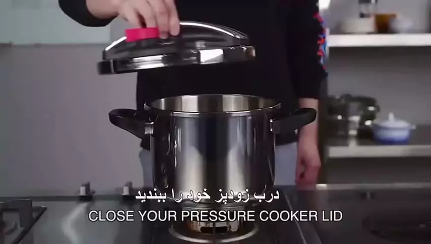 زودپز روگازی تونیش