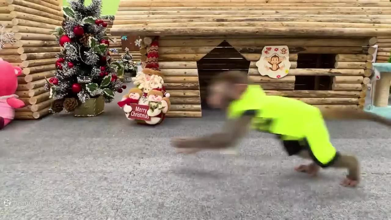 کارتون میمون : بچه میمون : میمون بازیگوش : میمون خنده دار : میمون بازیگوش