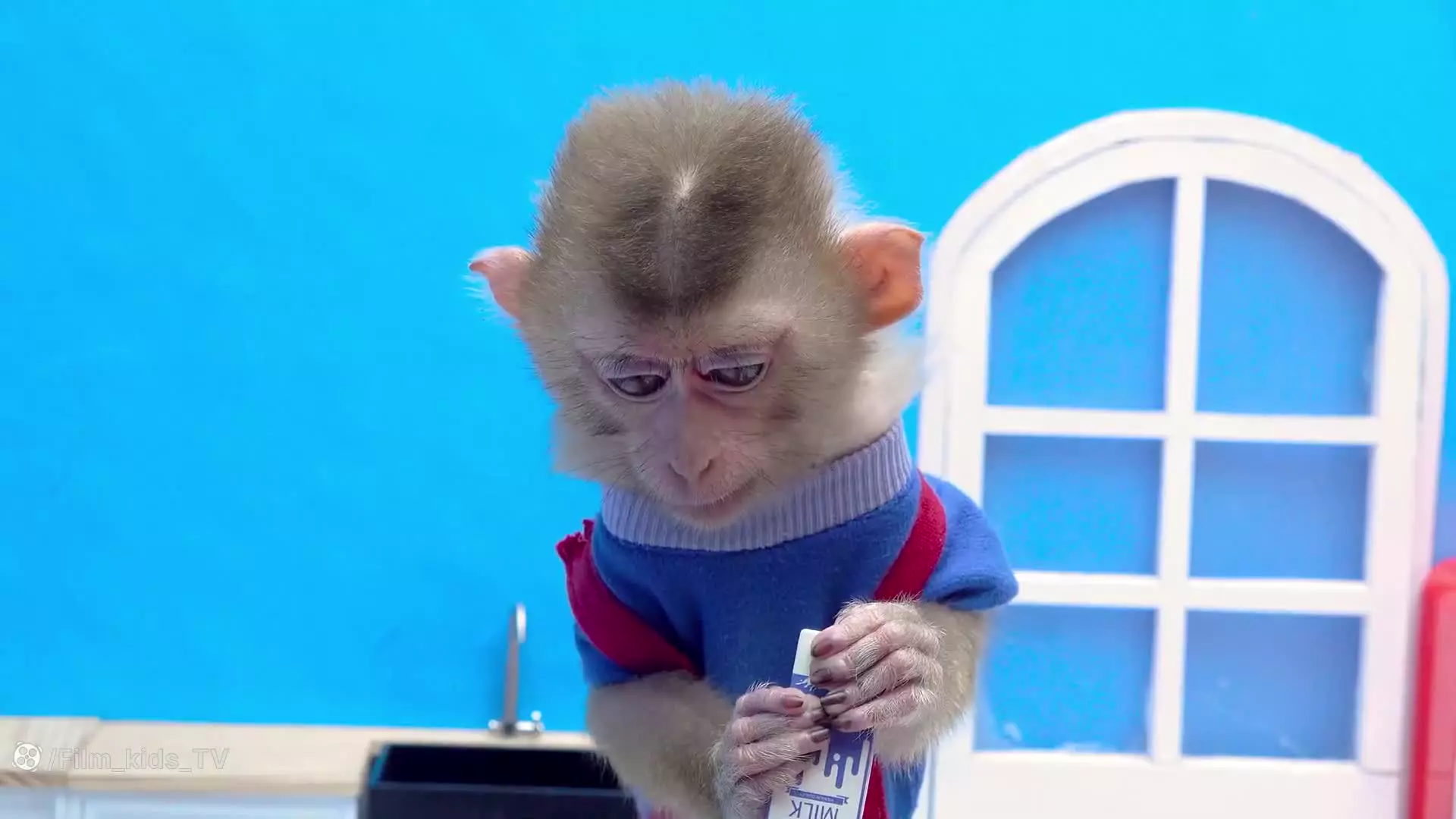 بچه میمون بازیگوش ، بازی سرگرمی ، میمون بامزه ، میمون شیطون بلا