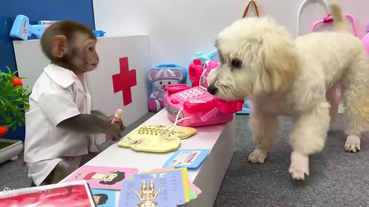 کارتون میمون: بچه میمون در مزرعه: میمون بازیگوش: میمون خنده دار: میمون بازیگوش