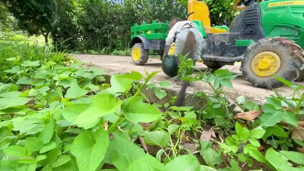 میمون بازیگوش : بازی و سرگرمی و جوجه های کیوت : برنامه کودک بچه میمون کوچولو