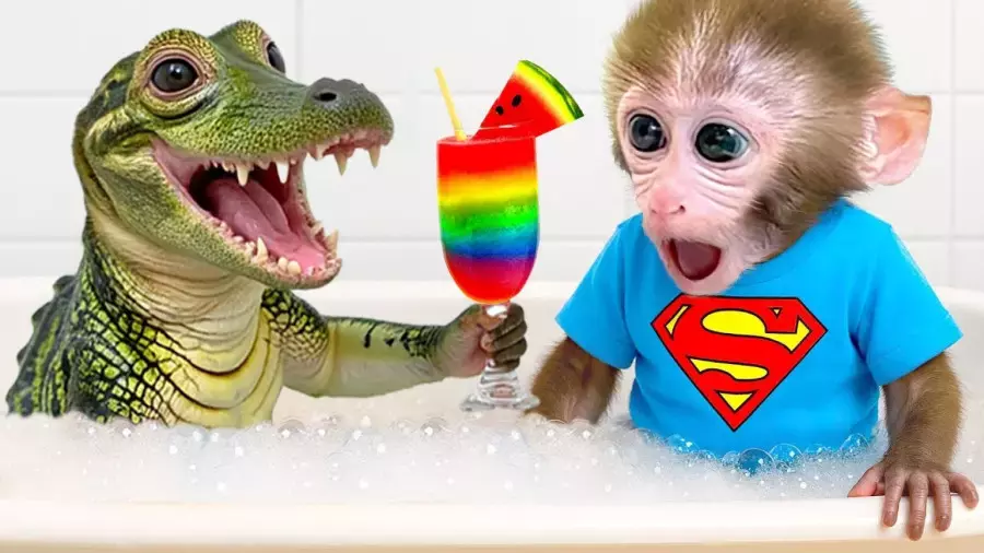 میمون بازیگوش : بازی و سرگرمی و جوجه های کیوت : برنامه کودک بچه میمون کوچولو