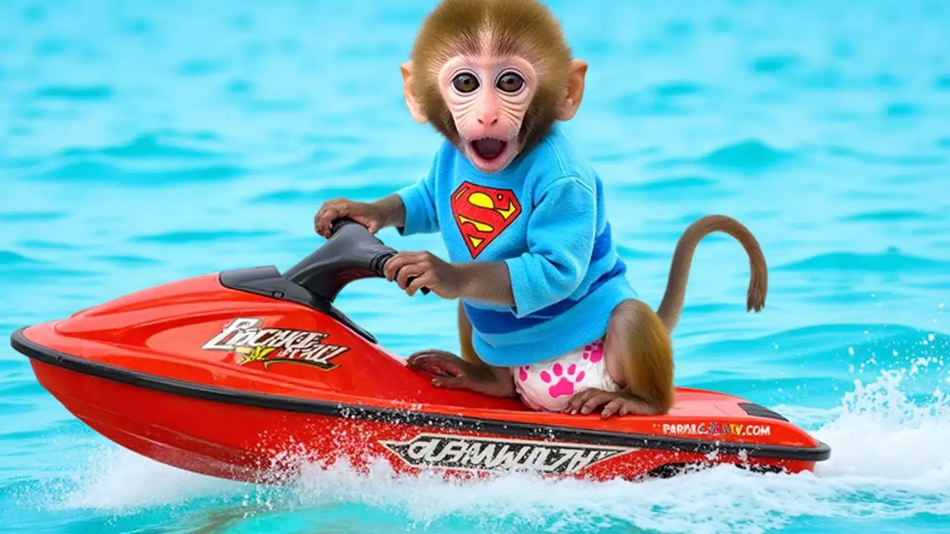 برنامه کودک بچه میمون ، قایق سواری بچه میمون ، طنز بچه میمون ، میمون کوچولو