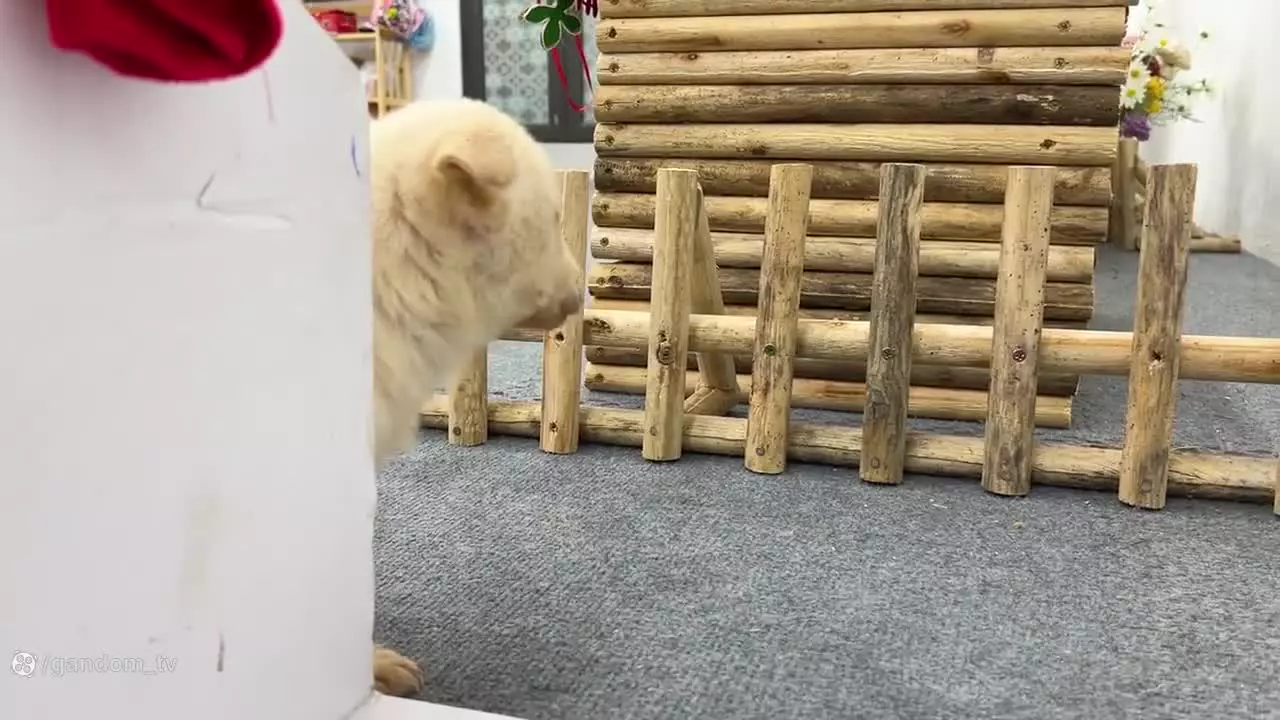 برنامه کودک بچه میمون ، بازی میمون کوچولو ، میمون کوچولو بازیگوش جوجه اردک