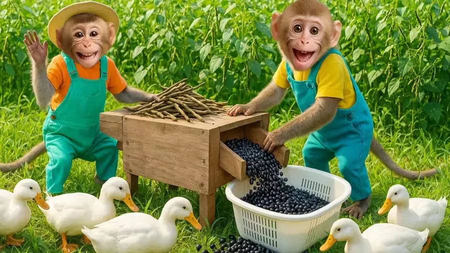 کارتون میمون : بچه میمون : میمون بازیگوش : میمون خنده دار : میمون بازیگوش