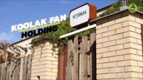 هواکش صنعتی سانتریفیوژ یا آکسیال؟ (تفاوت در فشار و کانال‌کشی) - کولاک فن