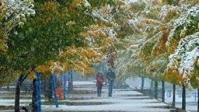 هشدار هواشناسی به شهرهای غربی ایران : بارش‌ باران ادامه دارد!