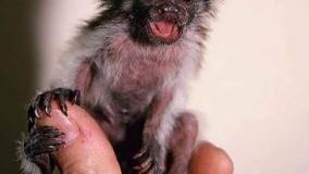 عجایب دنیا ۵۵