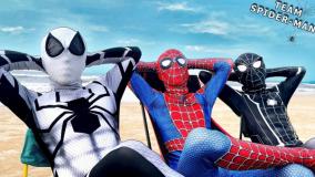 کارتون مرد عنکبوتی - نبرد تیم مرد عنکبوتی - مبارزه خونین اسپایدرمن - مرد عنکبوتی