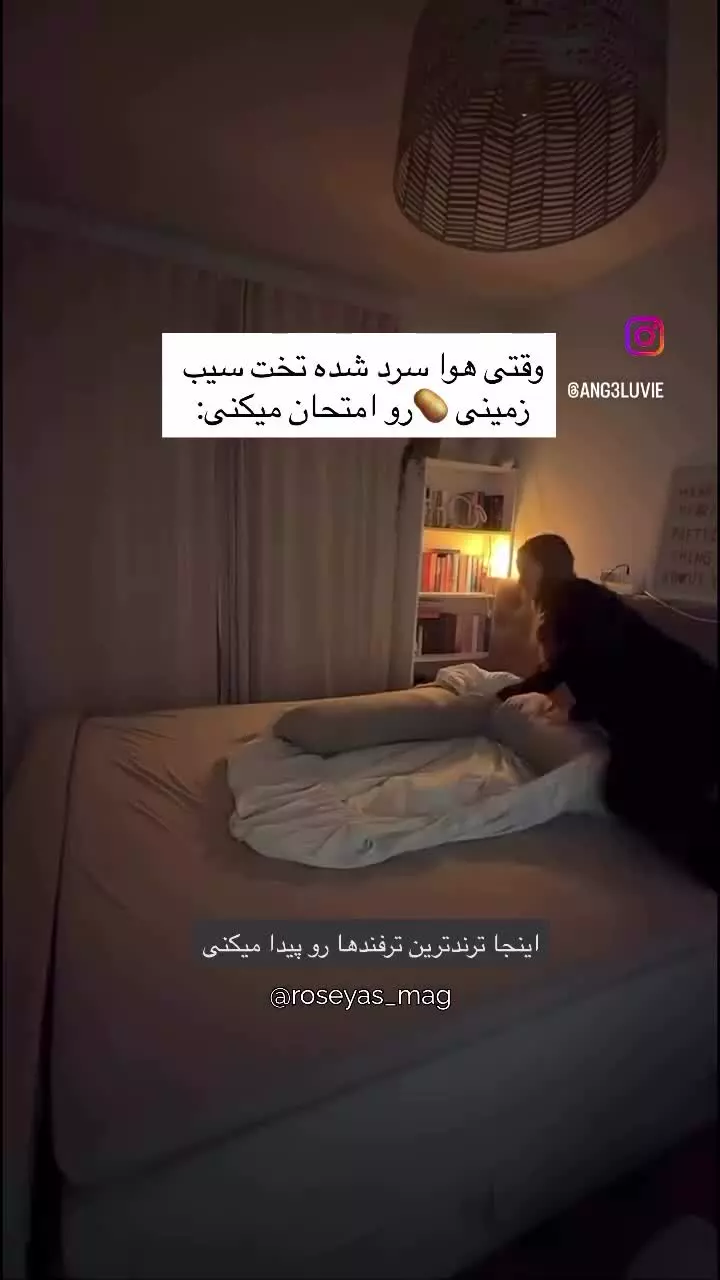 تخت سیب زمینی