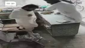 لحظه‌ای که آبنبات یک کودک، سارق را از دزدی پشیمان کرد!