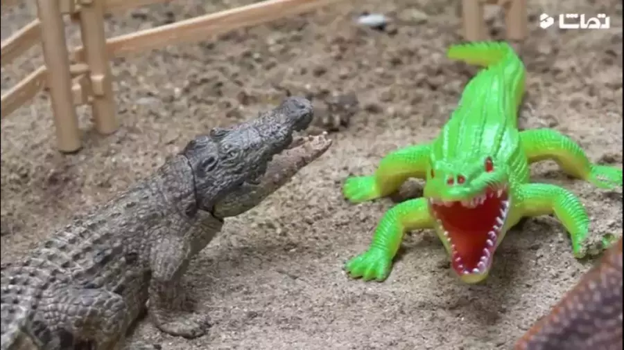 کارتون ماشین بازی جدید | مبارزه با دایناسورها با ماشین سنگین