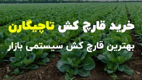 سفارش قارچ‌کش‌های تخصصی تاچیگارن - هایمکسازول