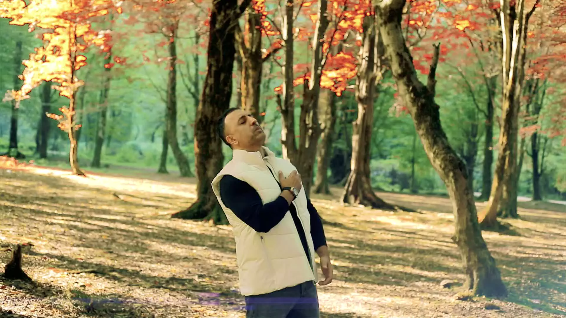 Music Siavash Yousefi – Payiz | سیاوش یوسفی پاییز