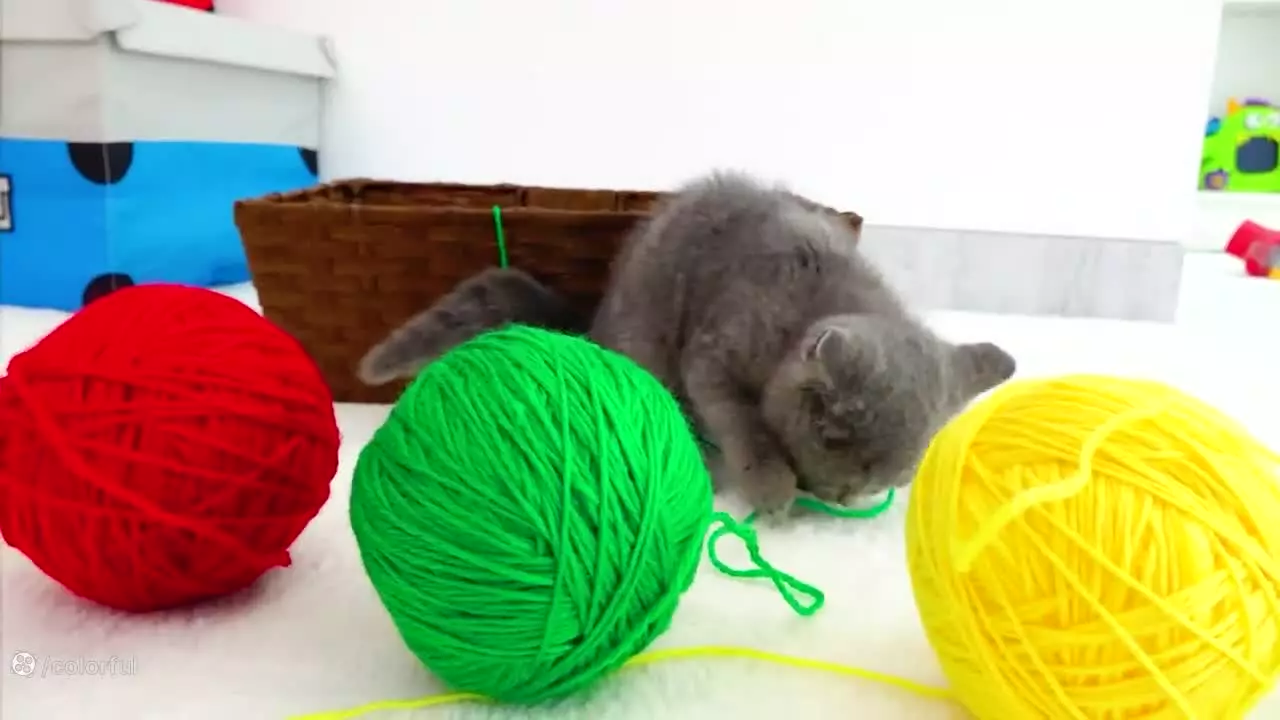 ولاد - ولاد و نیکی - بهترین و خنده‌دارترین کارتون جدید ولاد و نیکی برنامه کودک