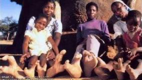 عجایب دنیا ۲۲۱