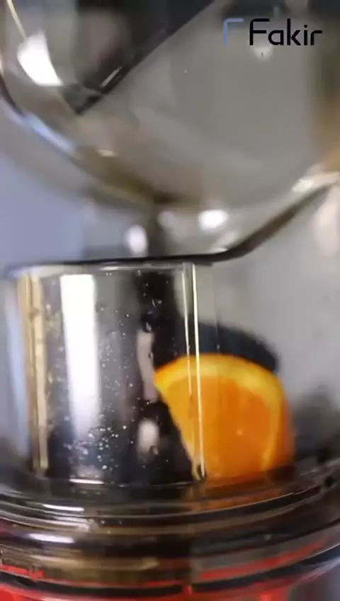 عصاره گیر پرقدرت فکیر آلمان