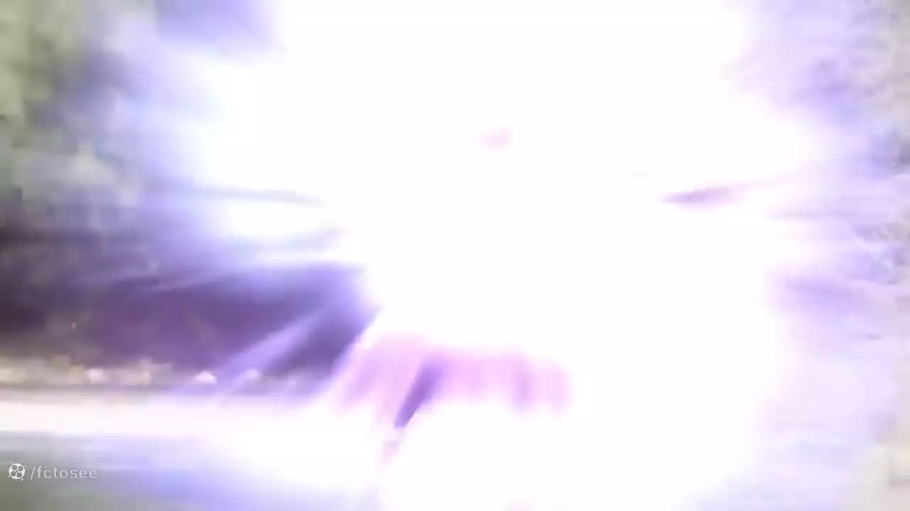 نبرد و درگیری حیوانات جان آنها را گرفت! | حیات وحش