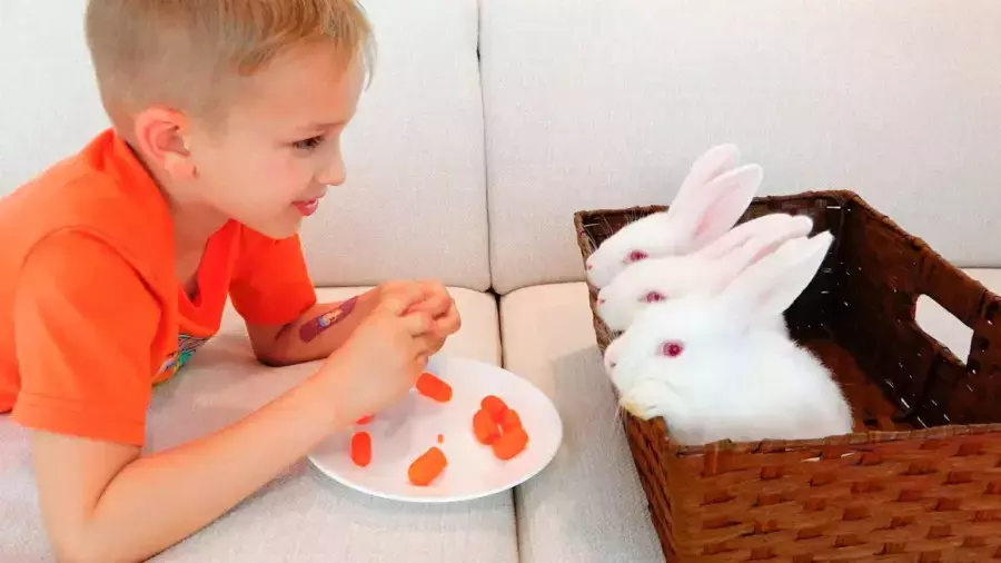 ولاد و نیکی| برنامه کودک جدید ولاد و نیکی |ولاد و نیکیتا| ولاد نیکی طولانی کریس