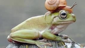 عجایب دنیا ۵۴