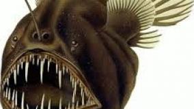 عجایب دنیا ۶۴۲۳