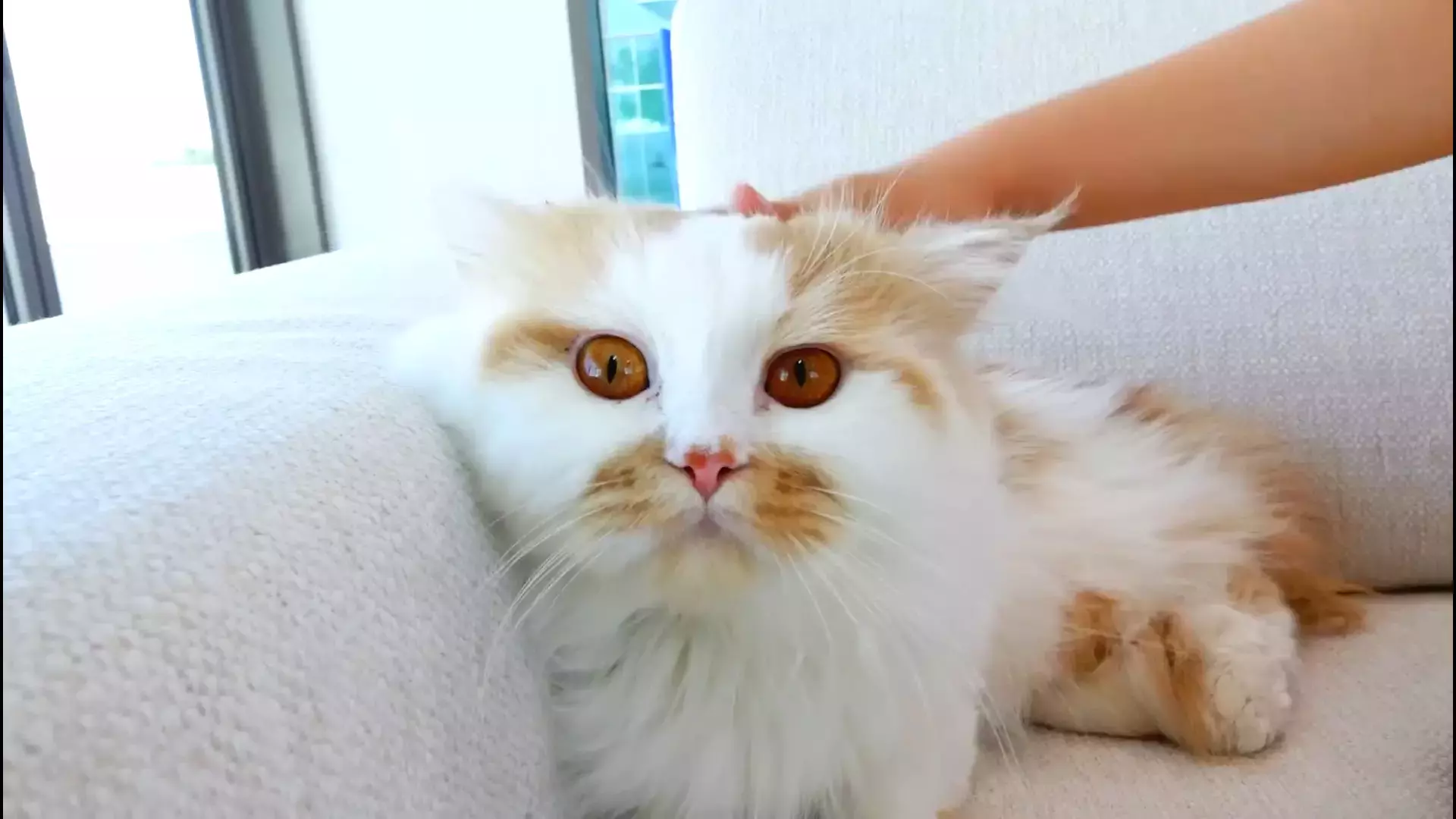 ولاد و نیکیتا جدید ، ماجراهای ولاد و نیکی ، برنامه کودک جذاب ولاد و نیکیتا