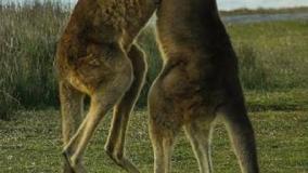 عجایب دنیا ۶۳۳