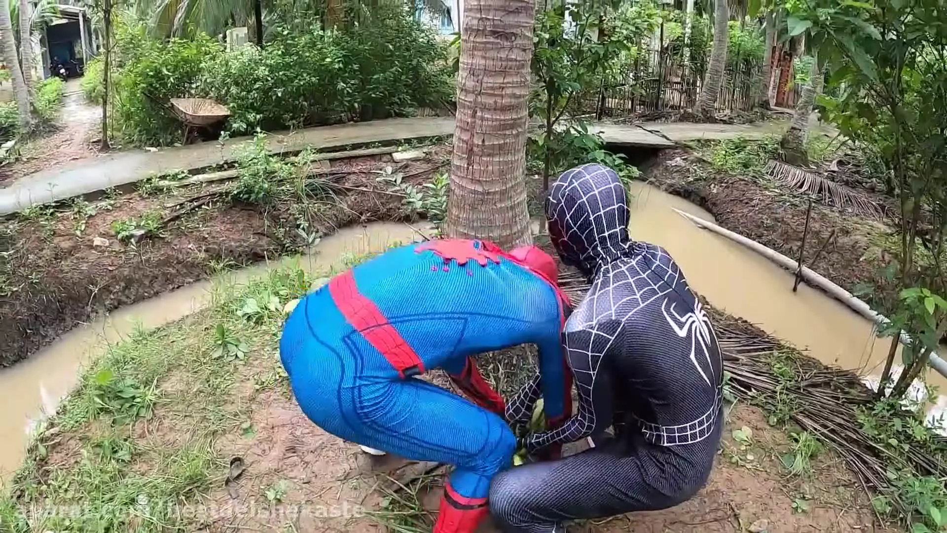 اسپایدرمن و سورپرایز رنگی در مقابل ونوم | برنامه کودک جدید